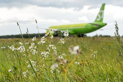 Airline companies warn of consequences of sharp rise in fuel prices