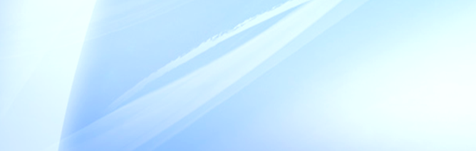 WORKSHOP FROM THE LEADING INTERNATIONAL AND RUSSIAN EXPERTS FOR HEADS OF THE REGIONAL AIR TRANSPORT SYSTEMS