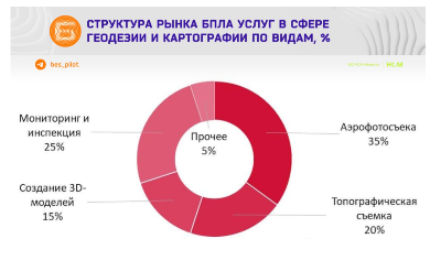 Структура рынка услуг БПЛА в сфере геодезии и картографии